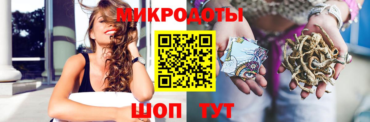 Псилоцибиновые грибы GOLDEN TEACHER Волжский
